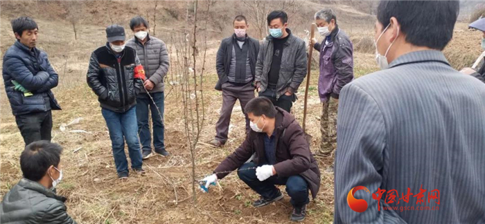 【甘肅全民戰(zhàn)“疫”】隴南徽縣：花椒田里培訓(xùn)忙，戰(zhàn)疫春耕兩不誤
