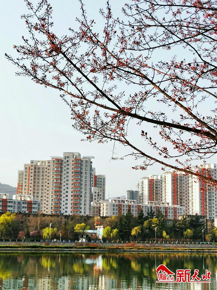 春天，古城天水的十個(gè)美麗瞬間