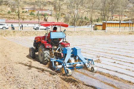 慶陽(yáng)華池縣：緊抓產(chǎn)業(yè)發(fā)展 鞏固脫貧成效