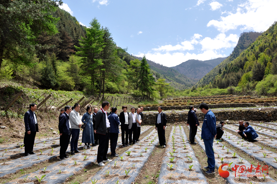 白龍江博峪河保護局開展產(chǎn)業(yè)發(fā)展、義務勞動成果現(xiàn)場觀摩交流活動