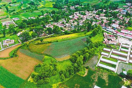 【溫暖的回響 滄桑巨變 飲水思源】這條路，通往幸福