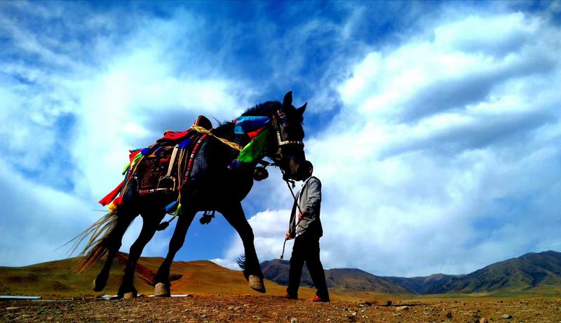 好消息！天祝被命名為“中國高原走馬之鄉(xiāng)”