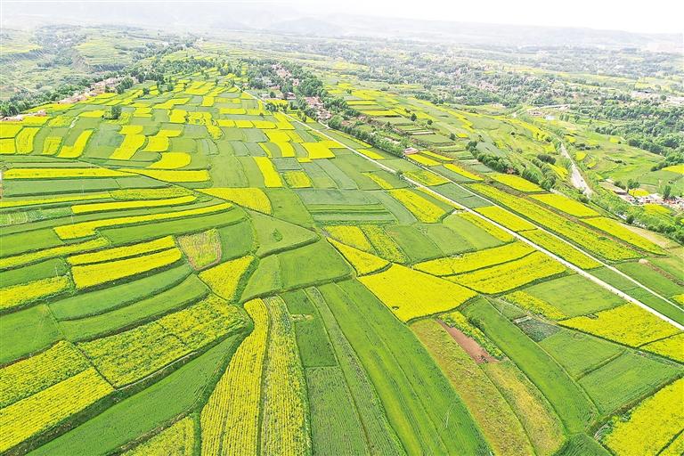 奮楫揚(yáng)帆風(fēng)正勁 爭先進(jìn)位正當(dāng)時(shí)——臨夏州上半年經(jīng)濟(jì)社會發(fā)展和重點(diǎn)工作綜述