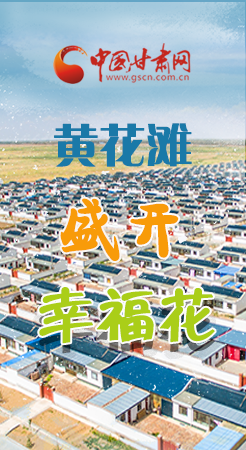 【跟著總書記看甘肅】長圖|武威黃花灘盛開幸?；?