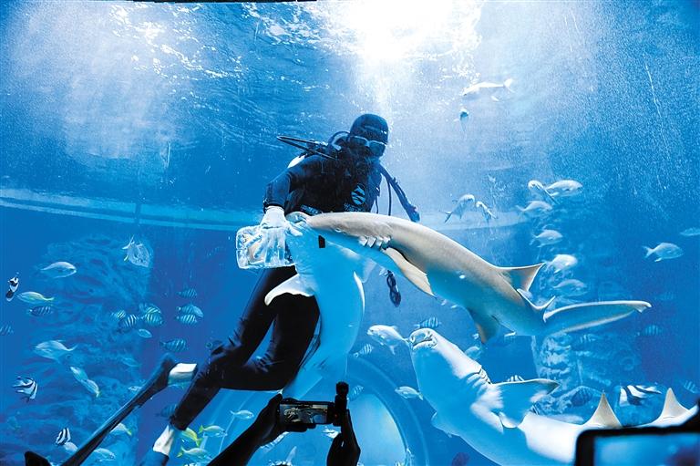 蘭州海洋公園 金昌火星1號基地 這個暑假我們“上天入?！?>
        </a><em>蘭州海洋公園 金昌火星1號基地 這個暑假我們“上天入?！?/em></li>
    <li><a  target=