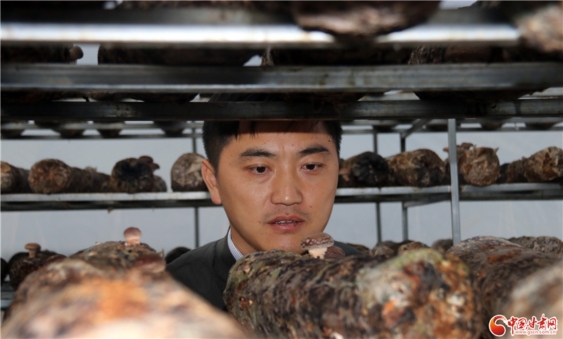 110年！何家溝村終于有了集體經(jīng)濟——中建二局黨建結(jié)對幫扶成效顯著