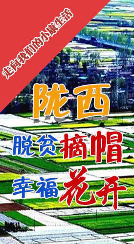 【走向我們的小康生活】長圖|隴西：脫貧摘帽 幸?；ㄩ_