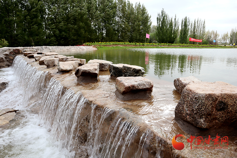 臨澤：內疏外連構建生態(tài)水系大網絡 再現“塞上江南”壯美景觀
