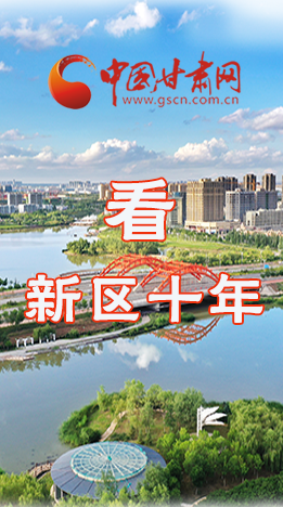 圖解|崛起！新區(qū)十年