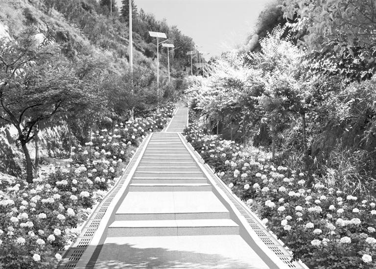 蘭州羅九公路這處紀(jì)念林周邊景觀提升改造項(xiàng)目開(kāi)工