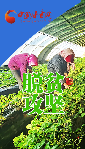 圖解|關(guān)于脫貧攻堅(jiān) 書記省長(zhǎng)這樣強(qiáng)調(diào)