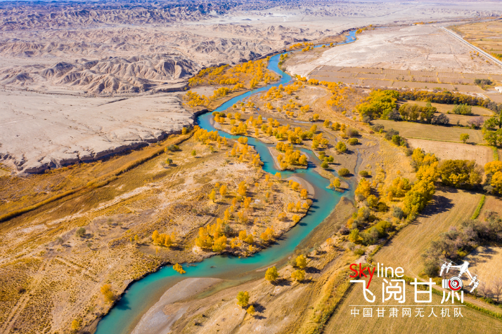 【飛閱甘肅】好美！疏勒河畔大地斑斕