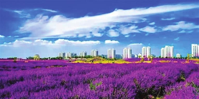 “三連冠”！金昌蟬聯(lián)全國(guó)文明城市