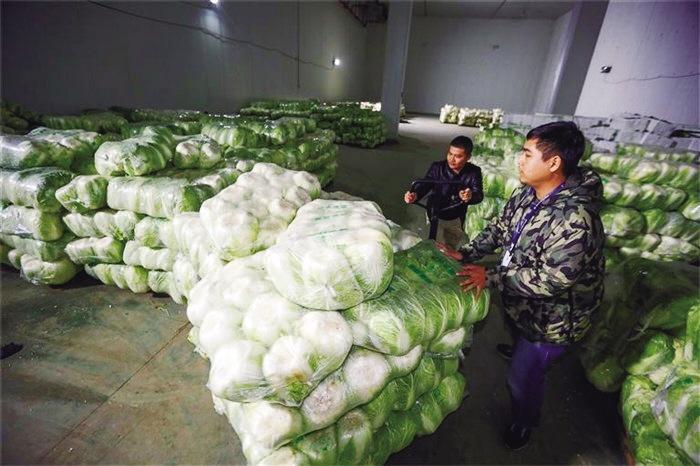 蘭州市已儲備1萬噸冬春蔬菜以耐貯存、易周轉(zhuǎn)品種為主