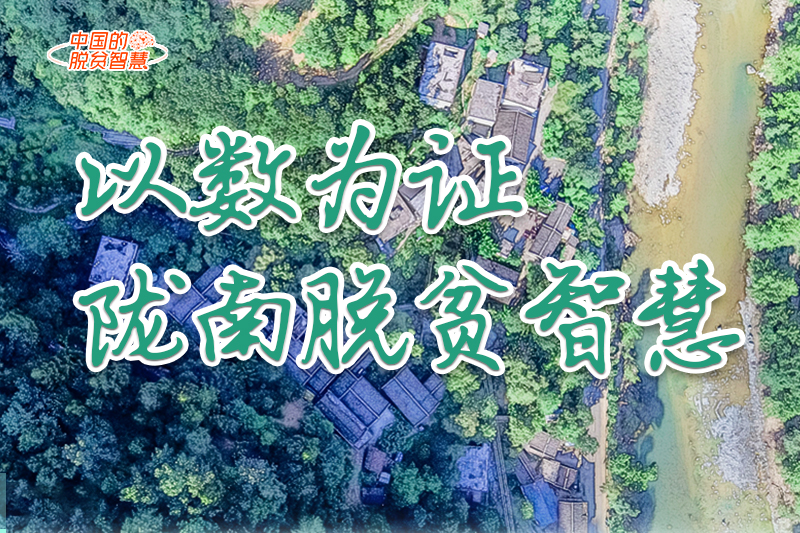 【中國(guó)的脫貧智慧】以數(shù)為證！隴南脫貧智慧來了！