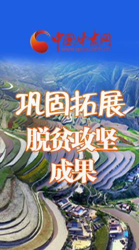 圖解|甘肅如何鞏固脫貧攻堅(jiān)成果,看看省委書記怎么說(shuō)   