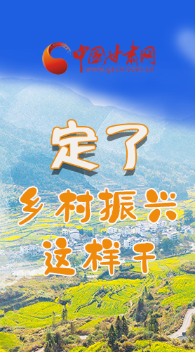 圖解|定了！全面推進(jìn)鄉(xiāng)村振興這樣干！