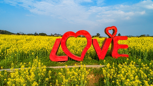 “l(fā)ove”創(chuàng)意拍照墻。廖濤 攝