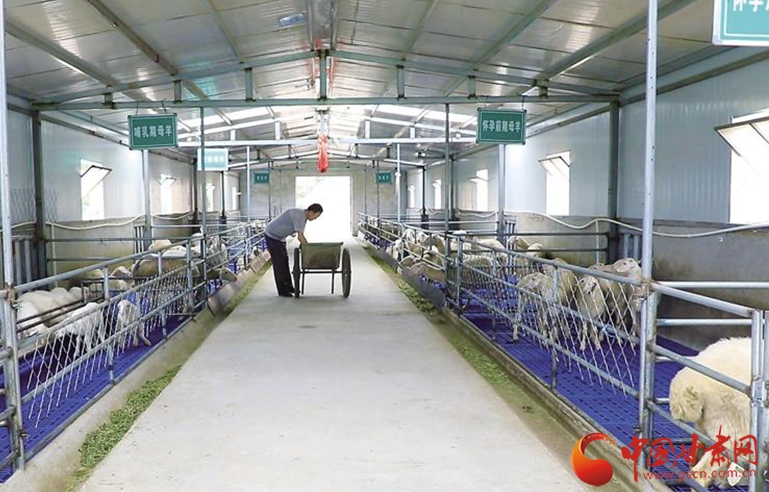 【小康之路 奮斗有我】懷一顆初心 擔(dān)一肩使命——記全國(guó)脫貧攻堅(jiān)先進(jìn)個(gè)人劉小兵