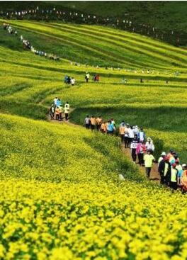 甘肅明確農(nóng)民進城落戶:不以退出承包地、林地等為條件