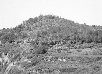 歷史眼丨張果老是正寧人？他與甘肅福緣不淺