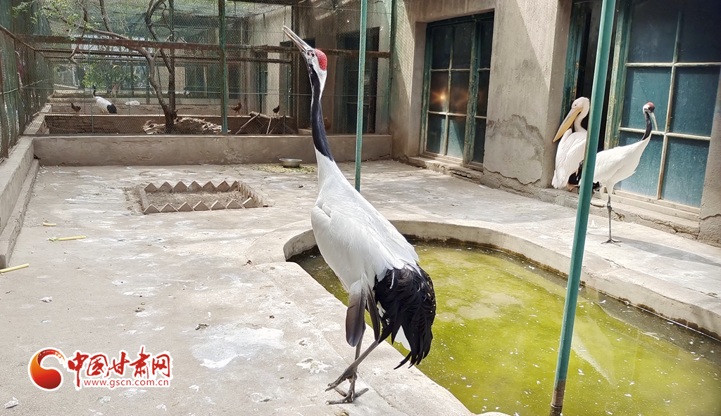 蘭州公安提醒市民：非緊急非必要，不出境