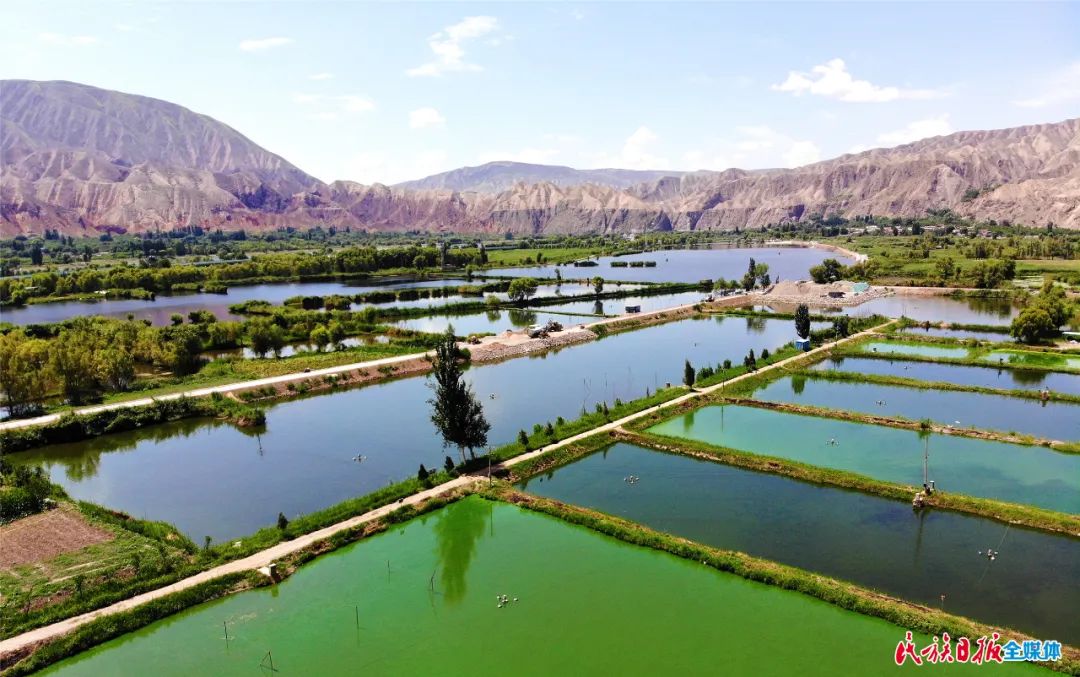 一秒入畫！太極島濕地風(fēng)光秀麗