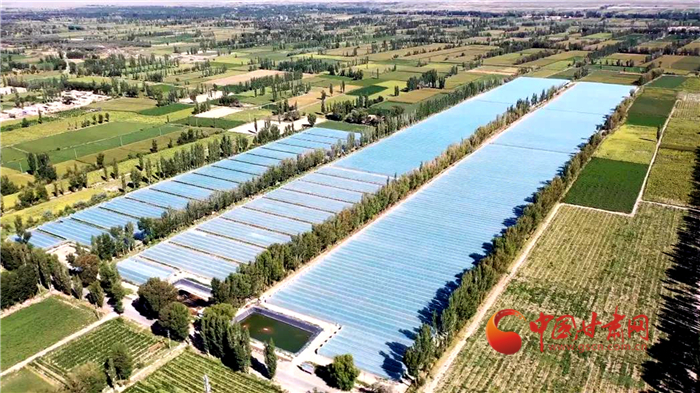 【小康圓夢·看甘肅】酒泉瓜州：高標準農(nóng)田化零為整 高品質(zhì)蜜瓜增效增收