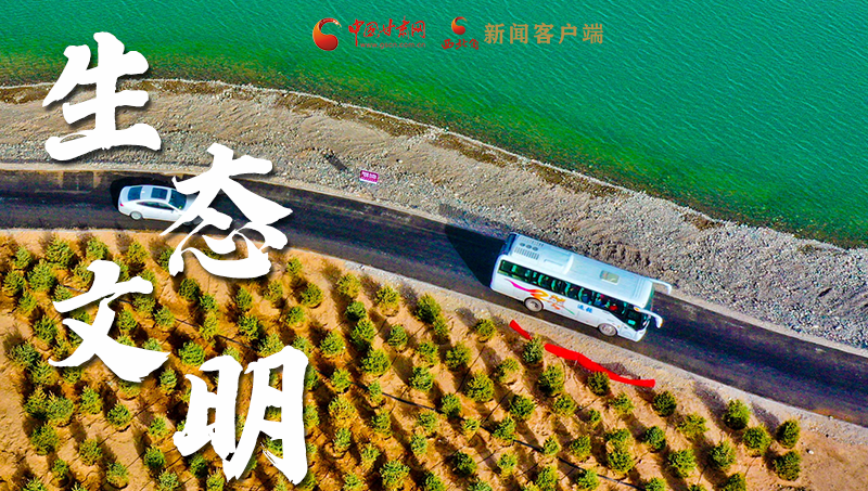 彈幕海報丨熱議甘肅省委十三屆十六次全會 網(wǎng)民聲音在回響！