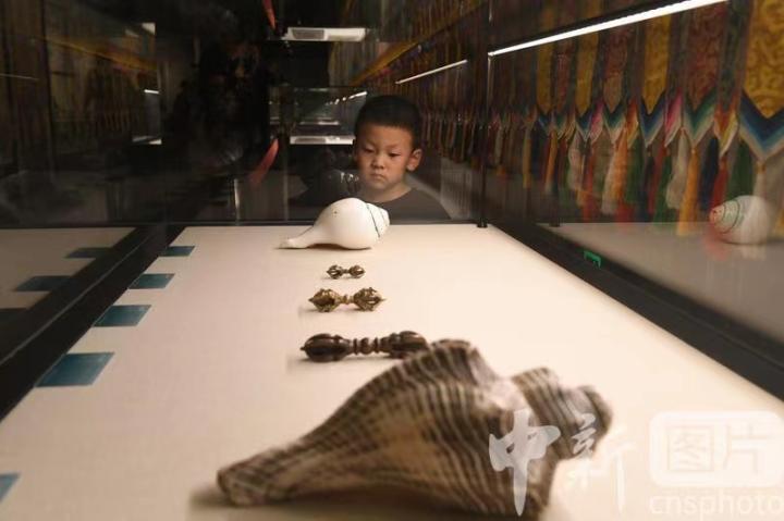 圖為展出的“白海螺法器”吸引小觀眾。 中新社記者 戴文昌 攝