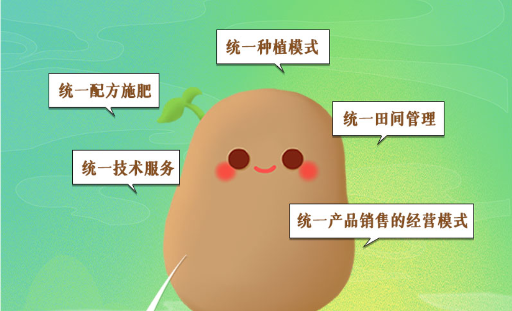 長(zhǎng)圖丨甘肅馬鈴薯“升值記”:一顆土豆撬動(dòng)一個(gè)產(chǎn)業(yè)