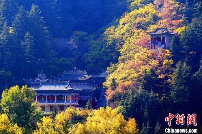 深秋，位于蘭州市榆中縣的興隆山景色如畫。宮衛(wèi)紅 攝