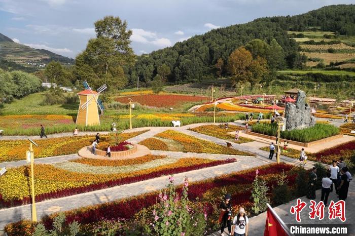 圖為航拍甘肅甘南臨潭縣八角鎮(zhèn)，花海吸引游人。(資料圖)高展 攝