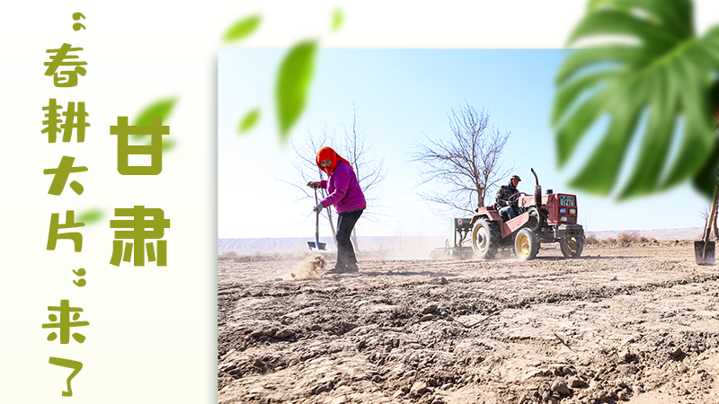 【甘快看】海報(bào)|瞧！甘肅“春耕大片”來(lái)了