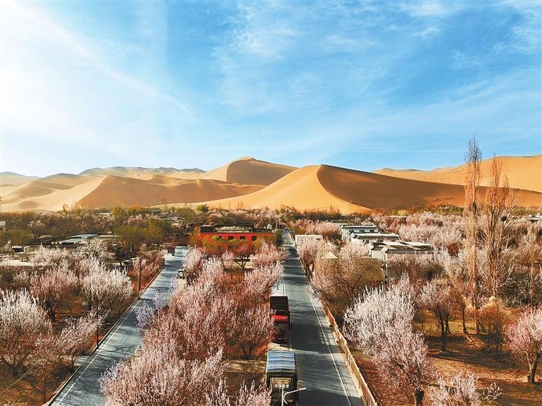 近日，敦煌鳴沙山下的李廣杏杏花陸續(xù)開(kāi)放，美如畫卷。新甘肅·甘肅日?qǐng)?bào)通訊員　張曉亮