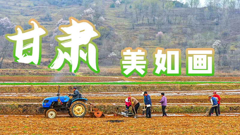 微海報(bào)|甘肅，美如畫