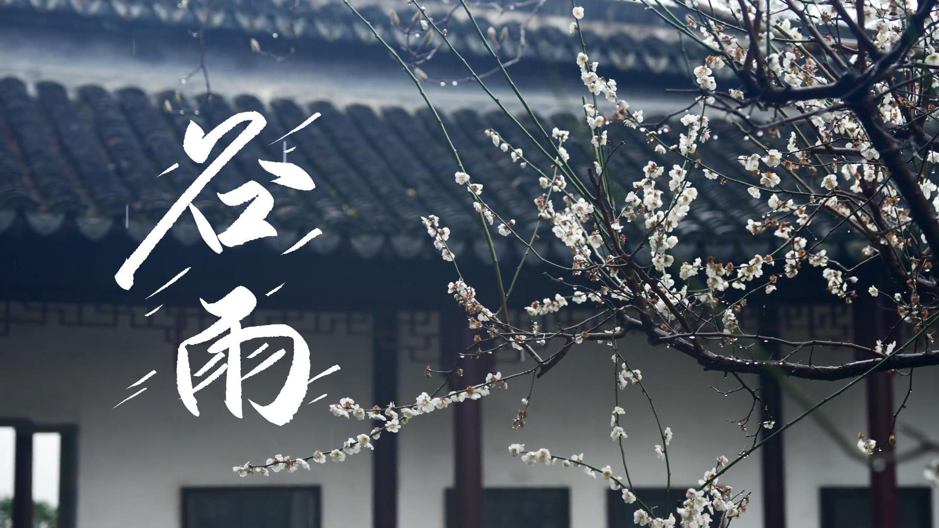 【節(jié)氣里的大美甘肅】谷雨，春天的最后一次回眸