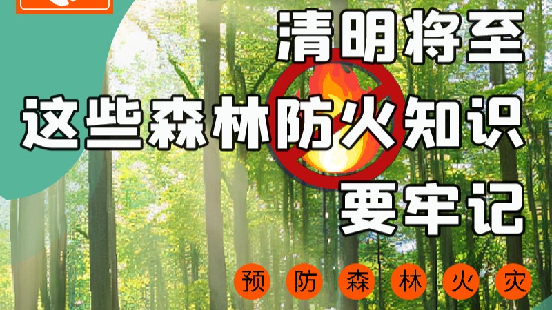 【甘快看】圖解|緊繃“安全弦”！清明，這些森林防火知識(shí)要牢記