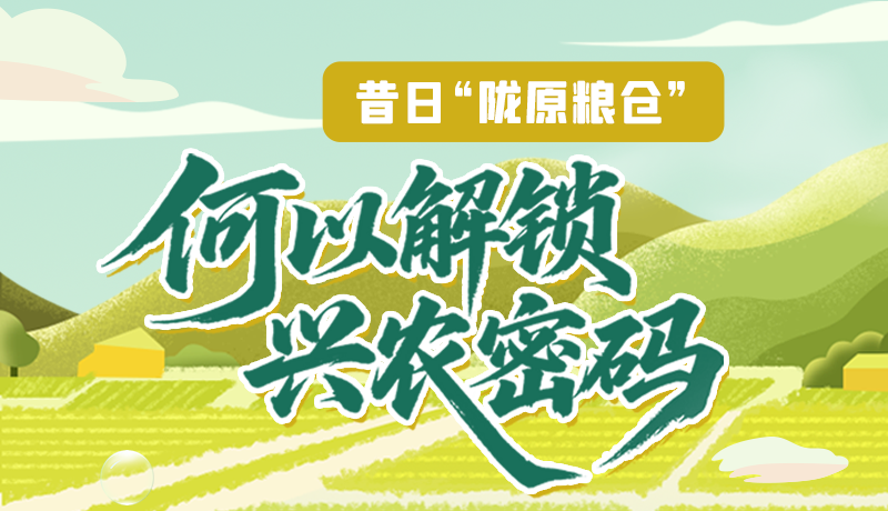 【理響中國·話隴點(diǎn)睛（3）】昔日“隴原糧倉”，何以解鎖“興農(nóng)密碼”